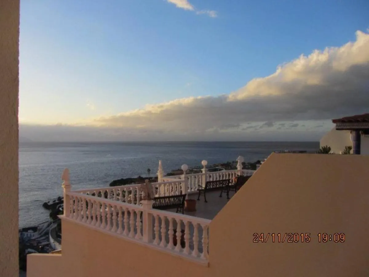 Avenus 24 Puerto De Santiago contacts